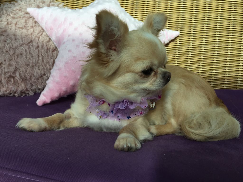 Ravissante princesse des minis tresors